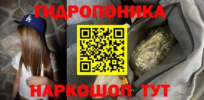 гашик Новокубанск