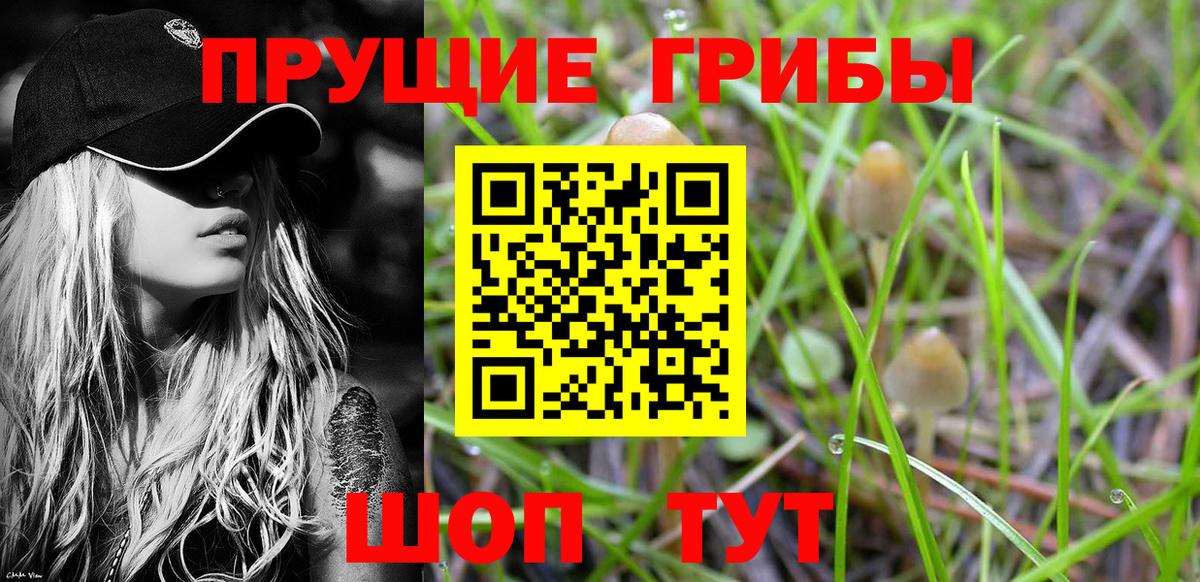 Галлюциногенные грибы ЛСД  Вход с VPN  Псилоцибиновые грибы мухоморы  Партизанск 