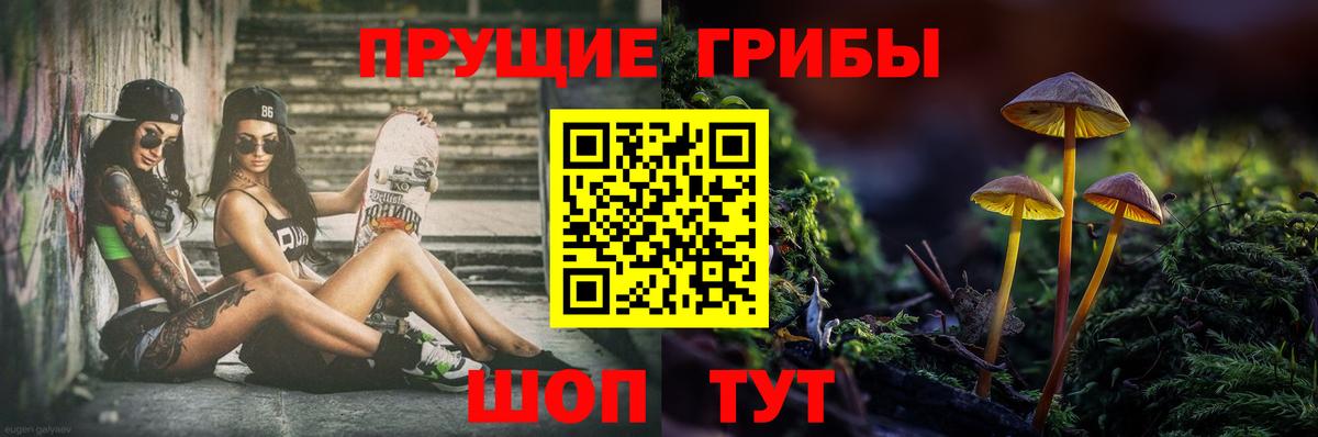 Галлюциногенные грибы Cubensis Партизанск