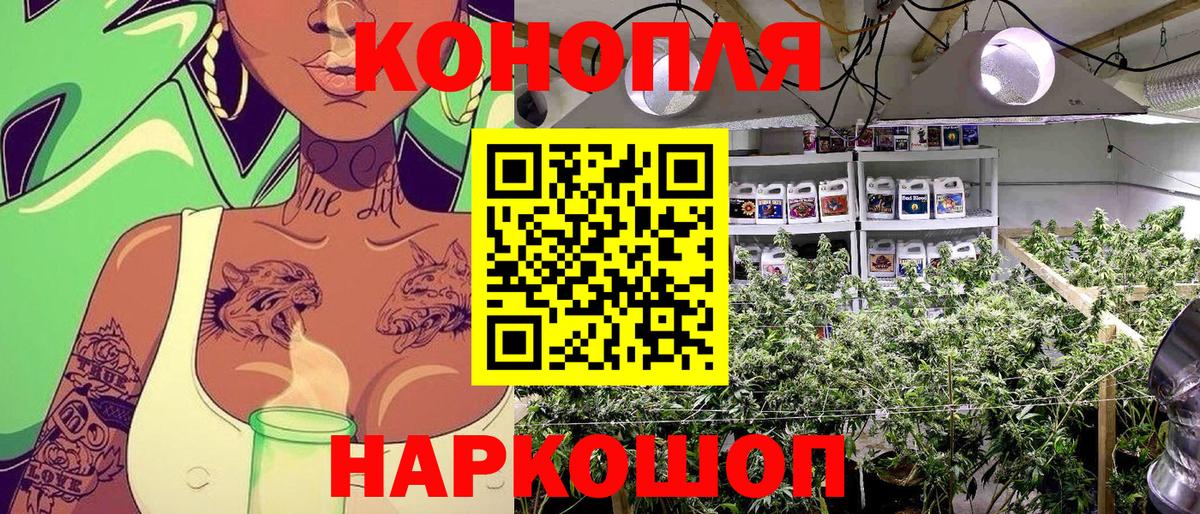 Канабис гибрид  Каннабис AK-47  Шишки марихуана тримм  Вход с VPN  Партизанск 